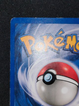 Pokémon Card Pinsir Holo 9/64 Jungle English