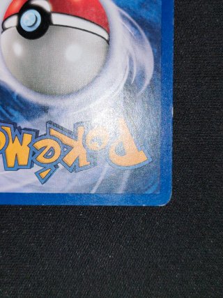Pokémon Card Pinsir Holo 9/64 Jungle English