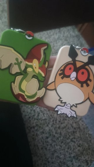 Fundas Pokémon.