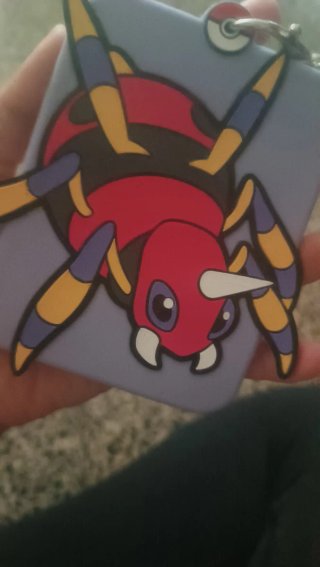 Fundas Pokémon.