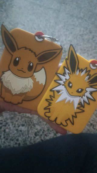 Fundas Pokémon.
