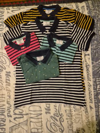 Lote 5 Polos Springfield Talla L