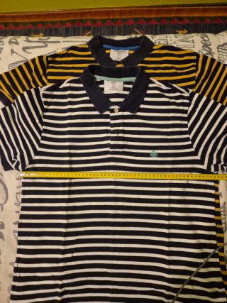 Lote 5 Polos Springfield Talla L