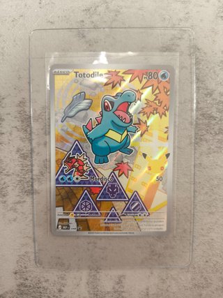 Trío Johto Compañeros Serie 2 Pokémon