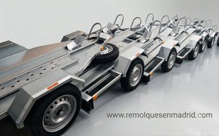 NUEVO: Remolque 3 carriles piso completo