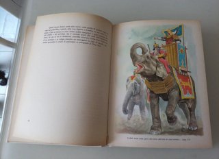 Il Milione di Marco Polo Fabbri editore illustrato