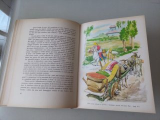 Il Milione di Marco Polo Fabbri editore illustrato