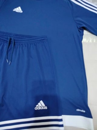 Conjunto Adidas Camiseta y Pantalón Corto Talla M