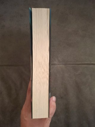 La Idea de Tenerte