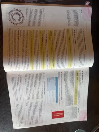 Economía 1.o Bachillerato
