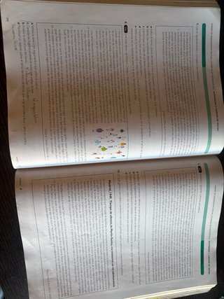 Lengua castellana y literatura 1, Le Bachillerato