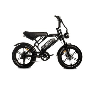 FATBIKE / E-BIKE / BICICLETA ELECTRICA
