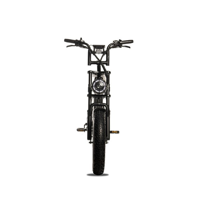FATBIKE / E-BIKE / BICICLETA ELECTRICA