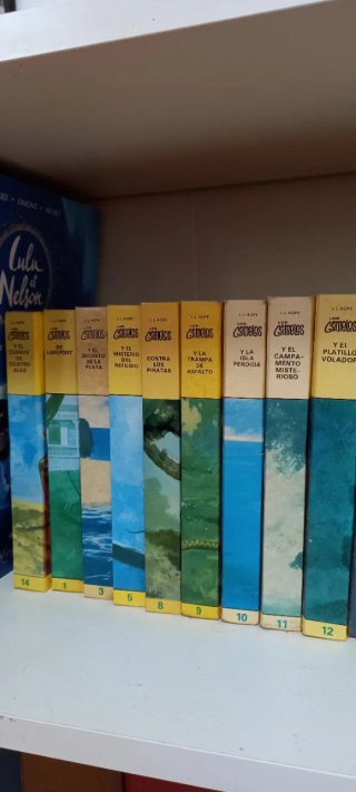 Colección libros Gemelos Bobbsey