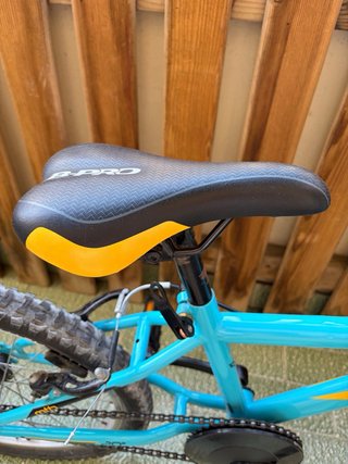 Bicicleta B-PRO Infantil 20 Azul