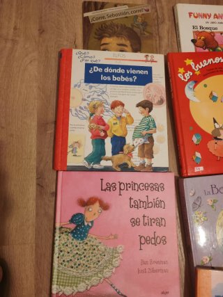 Lote de libros infantiles (13 libros y 5 de regalo
