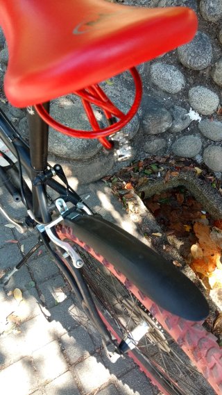 Bicicleta Montaña