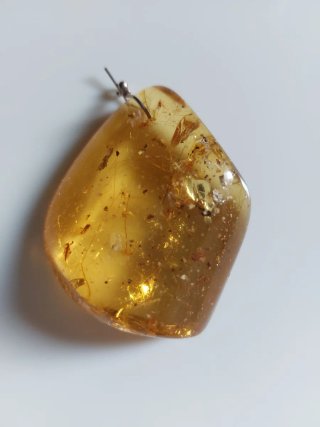 Colgante de ámbar con insectos