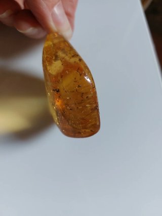 Colgante de ámbar con insectos
