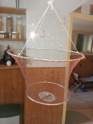 Conjunto antiguo pesca, tridente, red- palo y dos