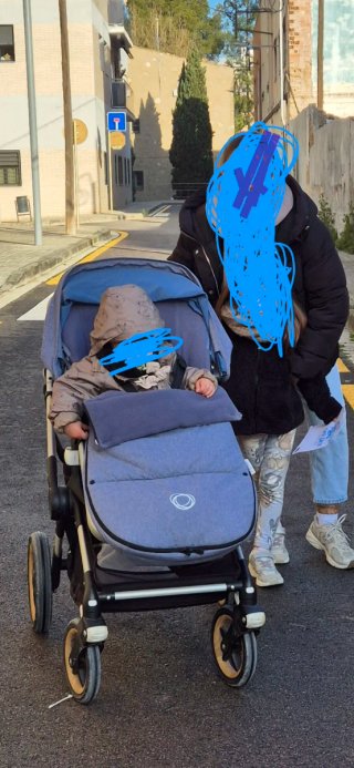 Carro Bugaboo Fox