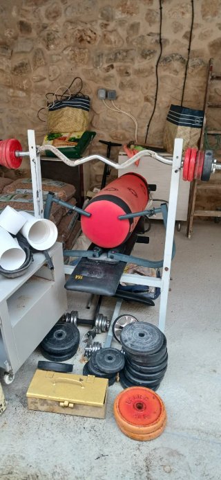 Panca pesi e dischi palestra