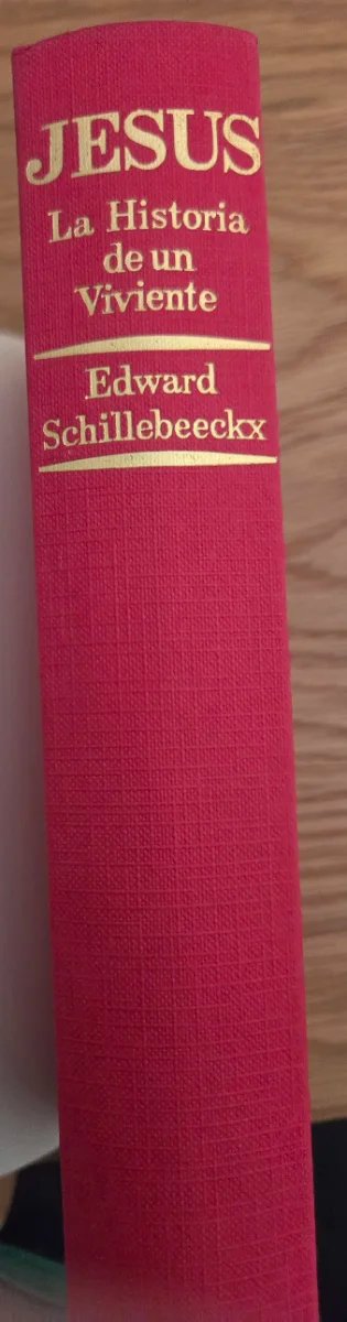 Libro Jesús  la historia de un vidente