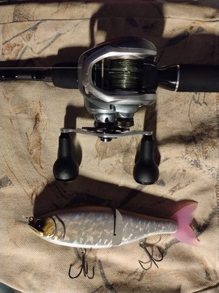 EQUIPO SWIMBAIT DAIWA TATULA Y SHIMANO CURADO 201