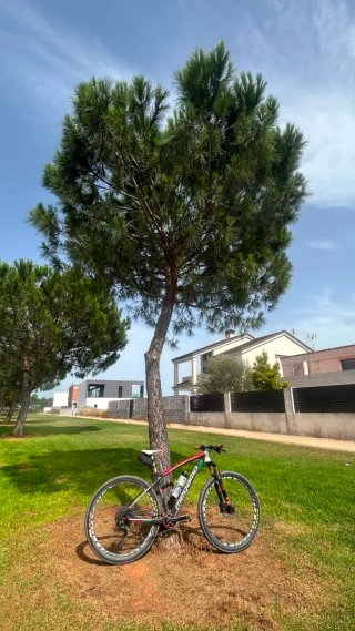Bici MTB Megamo Carbono