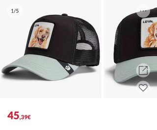 Gorra Goorin Bros Loyal perro labrador / golden
