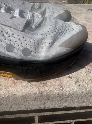 Nike Zegama Trail 2 Gris/Blanco