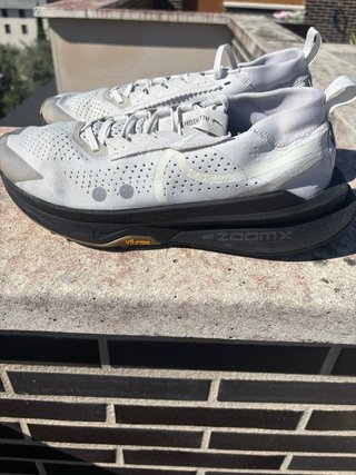 Nike Zegama Trail 2 Gris/Blanco