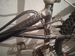 Bicicleta Agece