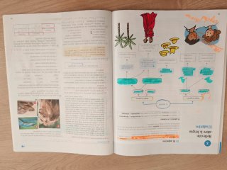 Lengua y literatura 1 ESO