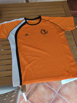 Camiseta deportiva Asics naranja