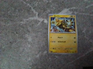 Lata Pokémon Cartas Japonesas