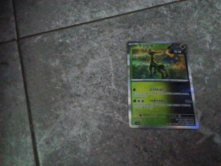 Lata Pokémon Cartas Japonesas