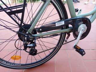 Bicicleta Eléctrica vivo de paseo