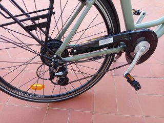 Bicicleta Eléctrica vivo de paseo