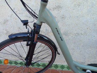 Bicicleta Eléctrica vivo de paseo