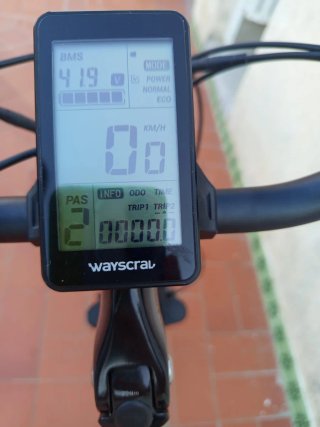 Bicicleta Eléctrica vivo de paseo