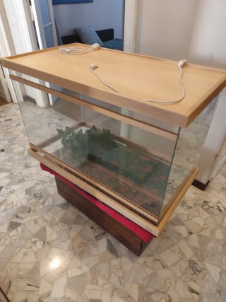 Terrario Rettilinea para reptiles