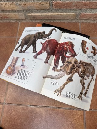 Zoobooks