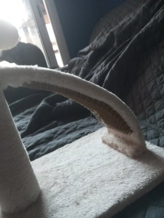 Rascador para Gatos