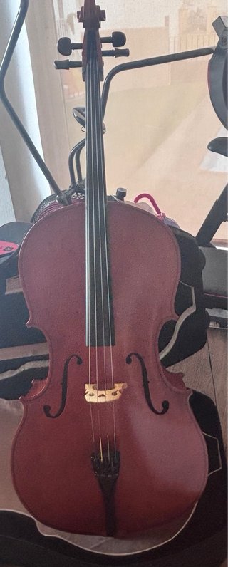 Funda de violonchelo  y violonchelo Palatino 4/4