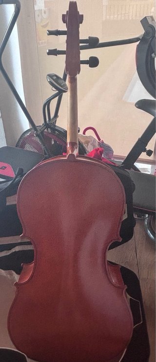Funda de violonchelo  y violonchelo Palatino 4/4