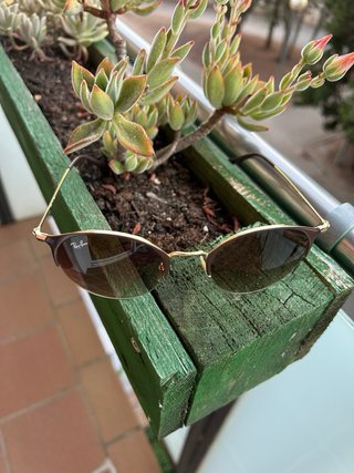 Gafas de sol Ray-Ban Marrón y Dorado