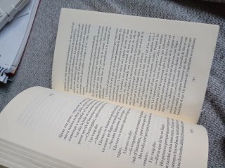 El Curios Incident Del Gos a Mitjanit