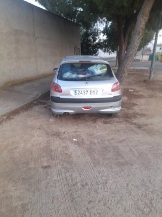 Peugeot 206 Gasolina