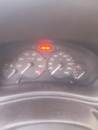 Peugeot 206 Gasolina